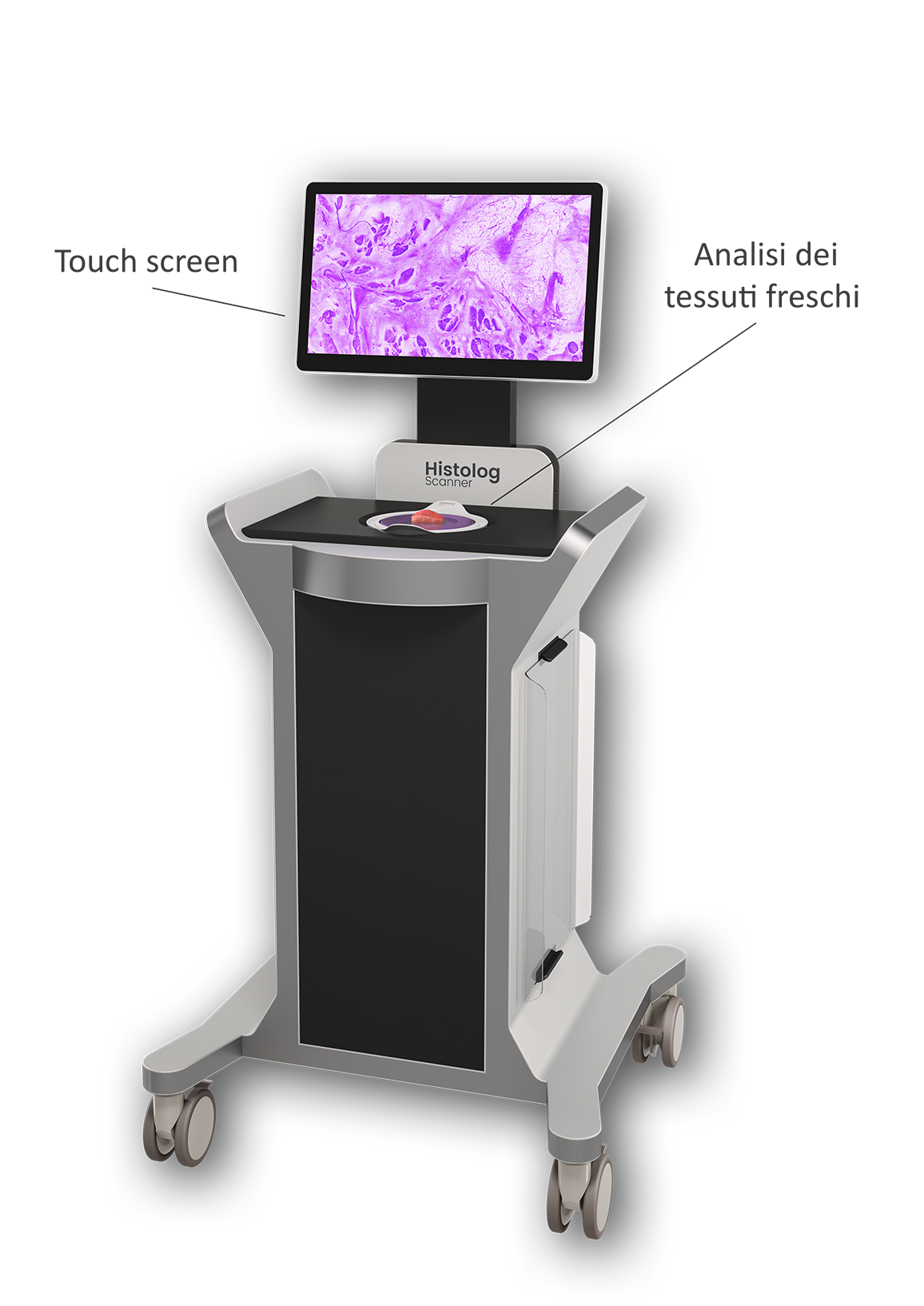 wHistolog Scanner_immagine